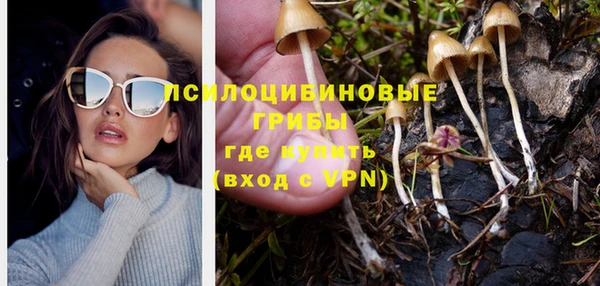 соль ск Волоколамск