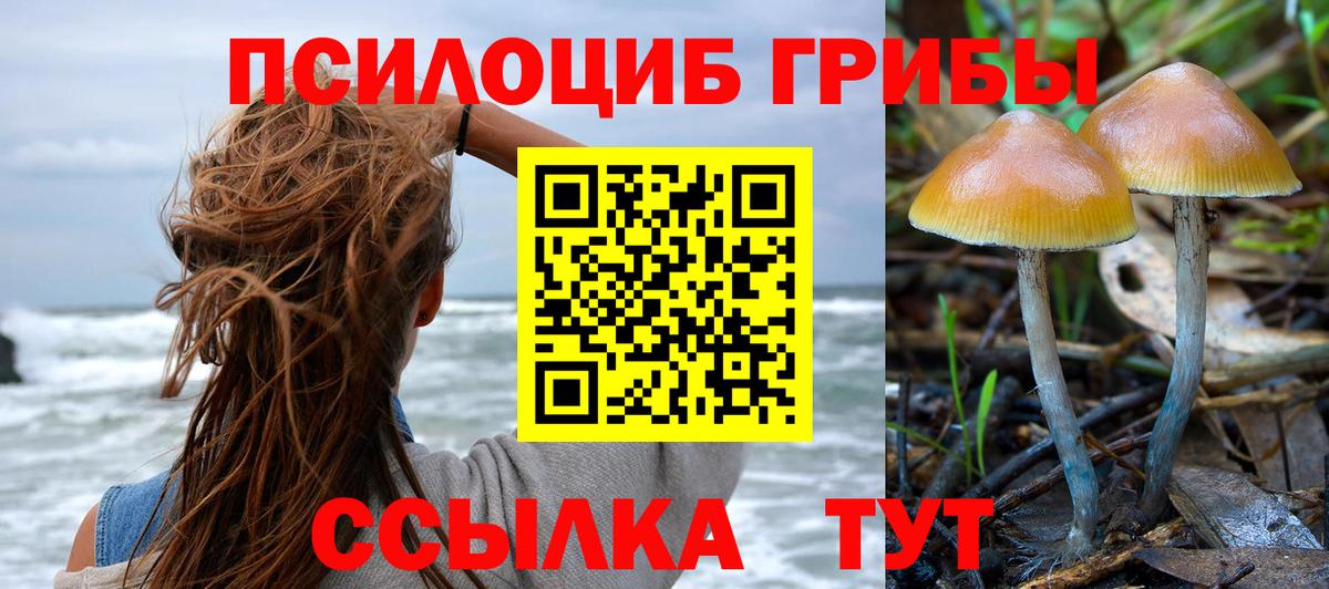 Псилоцибиновые грибы ЛСД Назарово